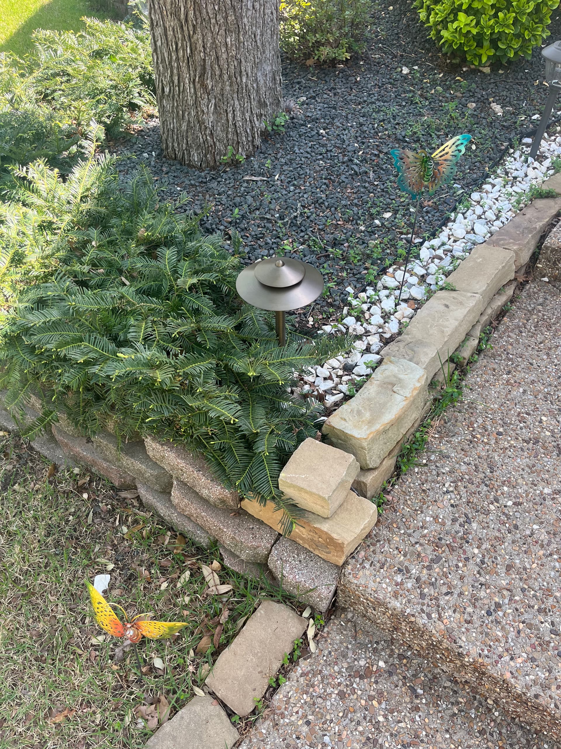 Gallery photos for Enhanced Backyard Lighting Installation in Dallas: Image #3