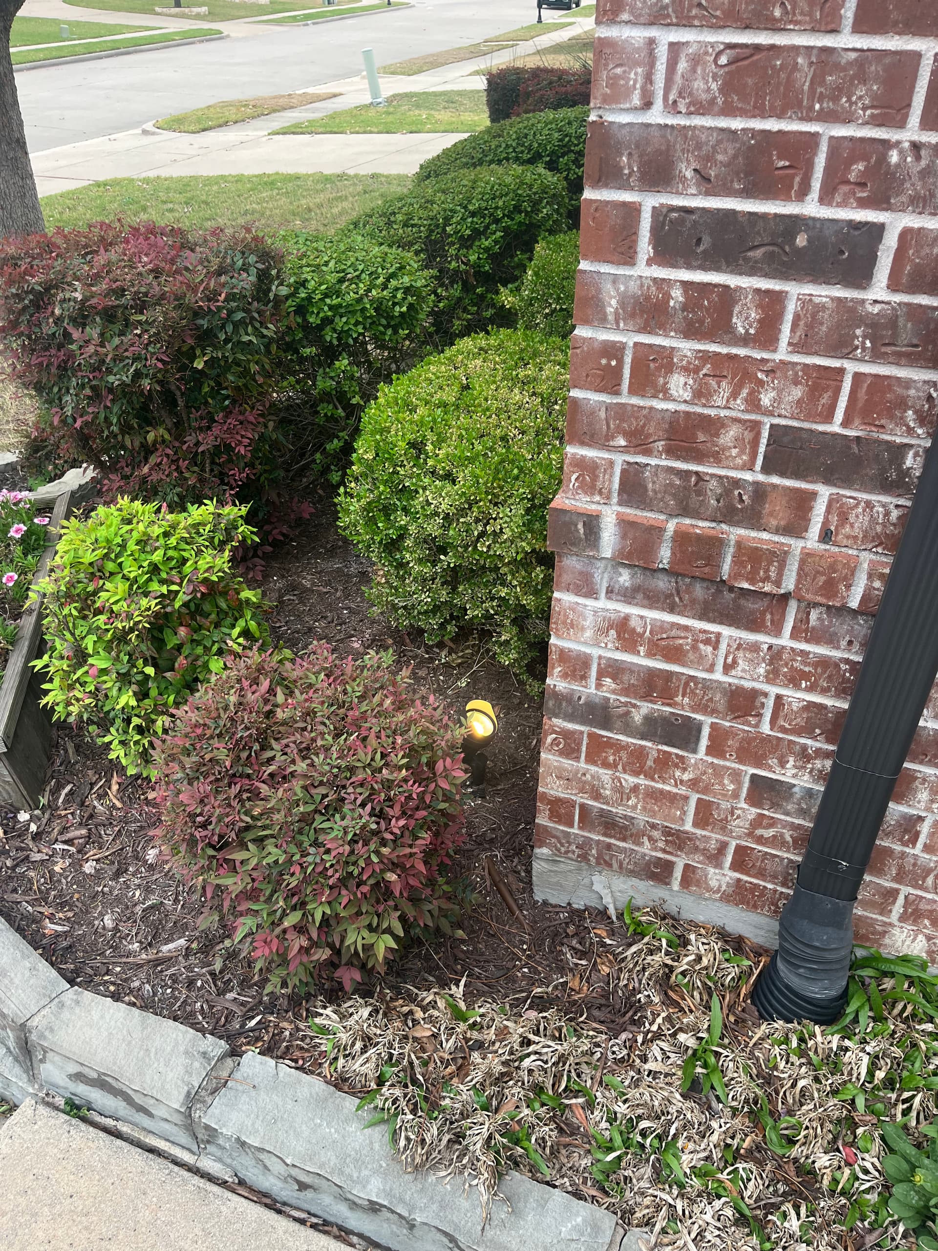 Gallery photos for Enhancing Homes with Tesla Chargers and Smart Lighting: Image #3